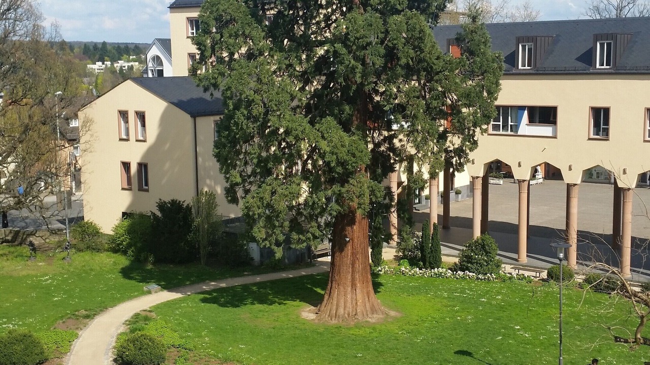 Photo of Outdoor in Kronberg