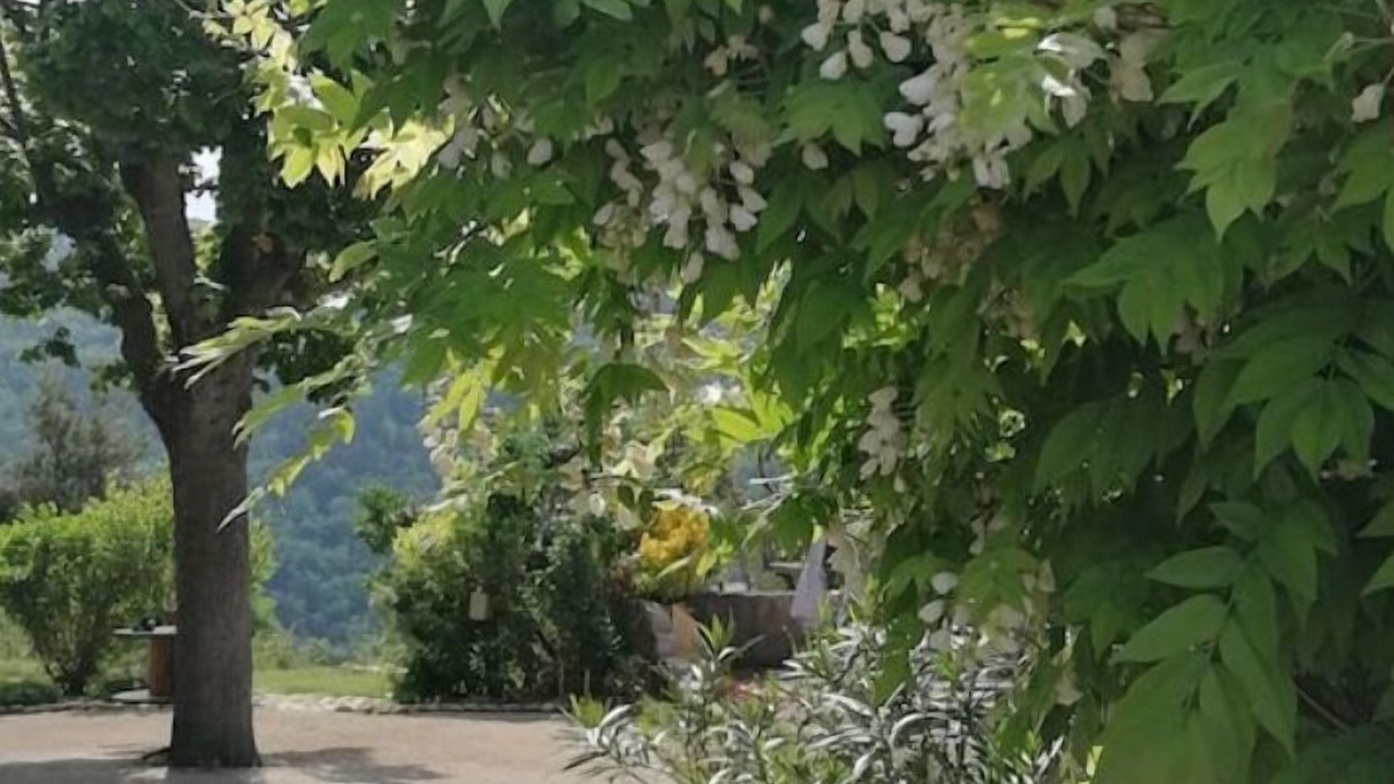 Photo of Outdoor in Ruisset