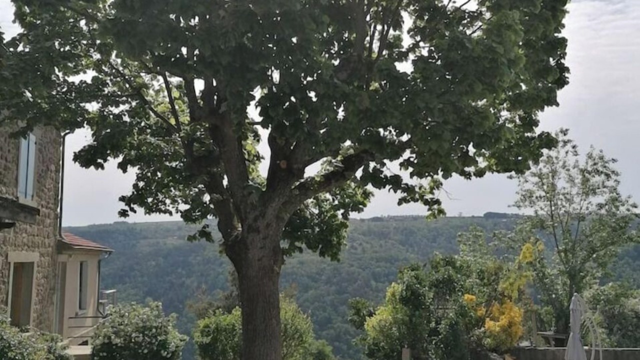 Photo of Outdoor in Ruisset