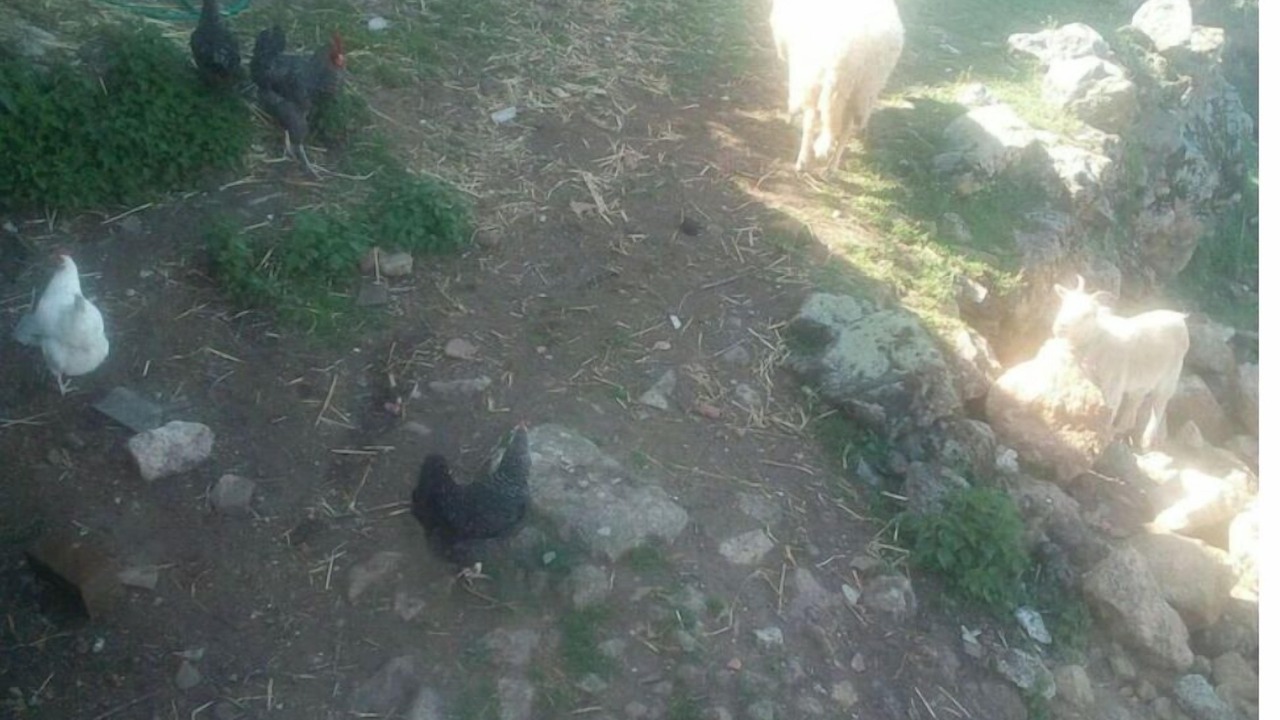 Photo of Others in Ruisset
