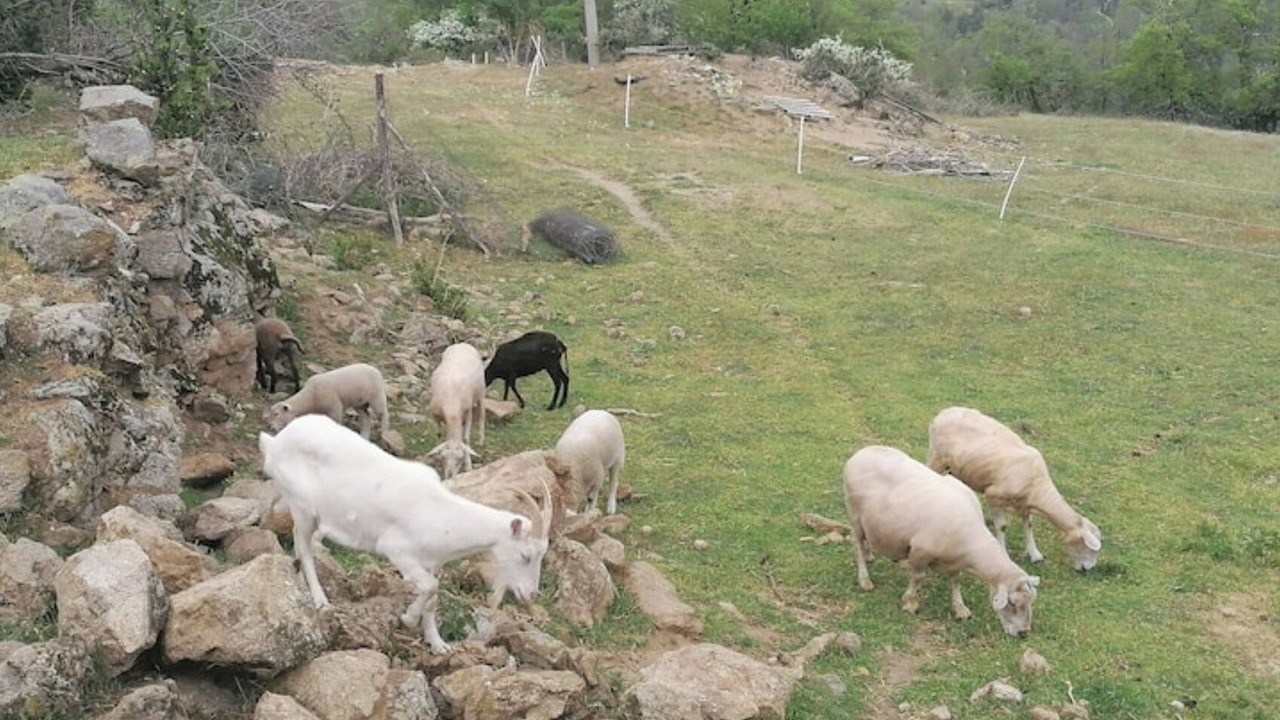 Photo of Outdoor in Ruisset