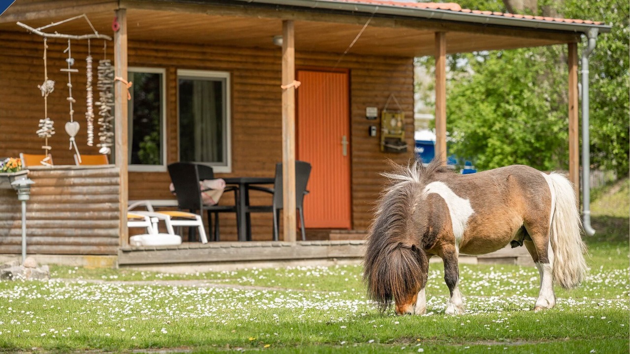 Photo of Outdoor in Luetow