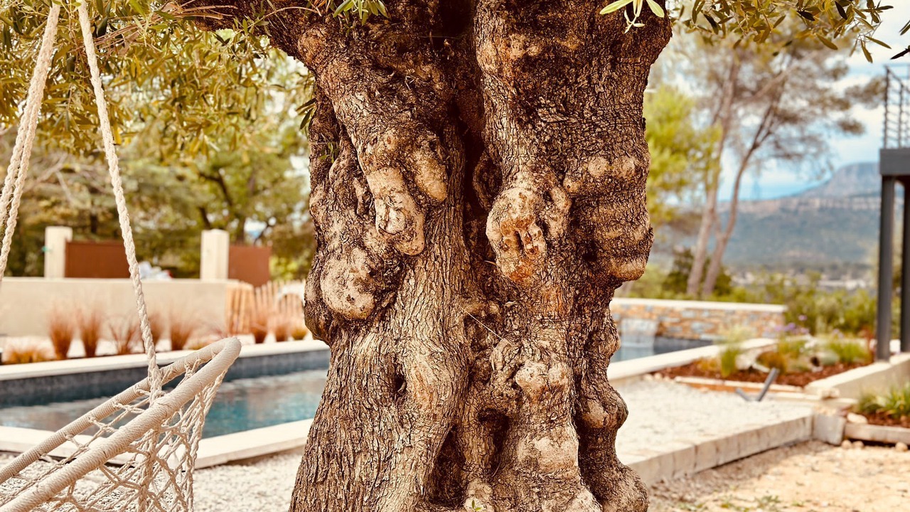 Photo of Outdoor in Fuveau