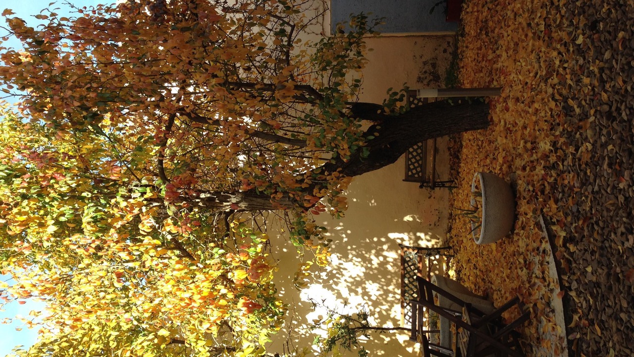 Photo of Outdoor in Valdepenas