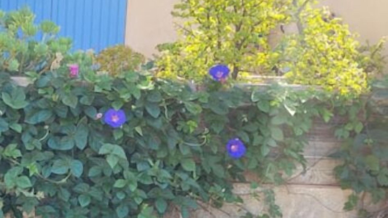 Photo of Others in Ceyreste