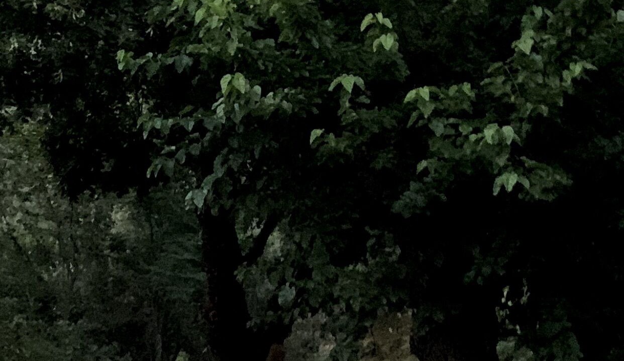 Photo of Outdoor in Endoume