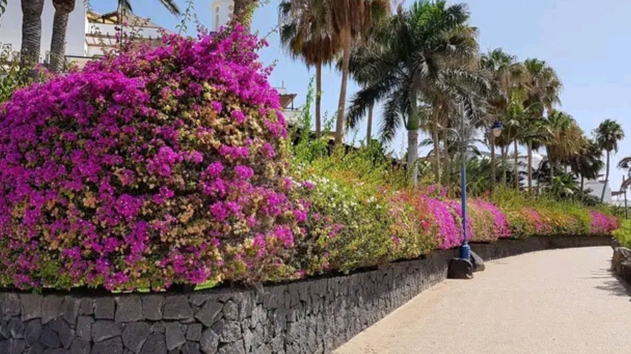 Photo of Outdoor in Almaraz
