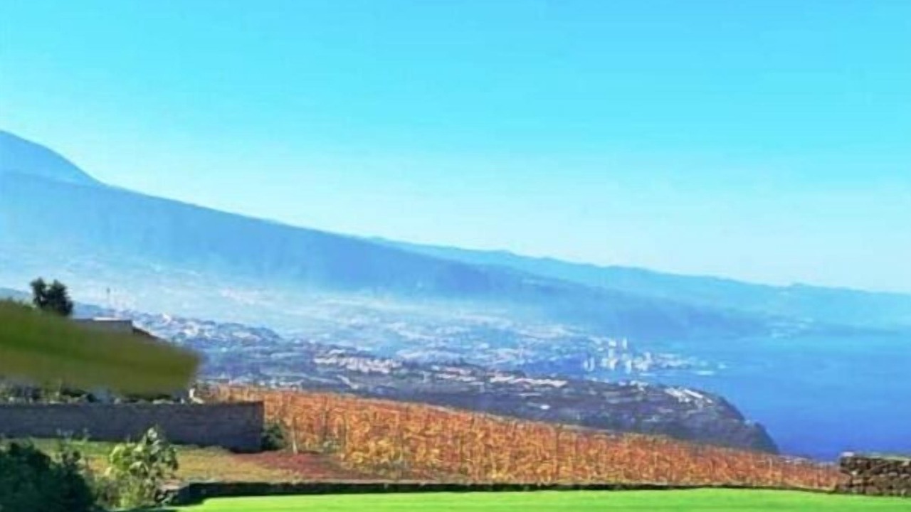Photo of Others in La Matanza de Acentejo