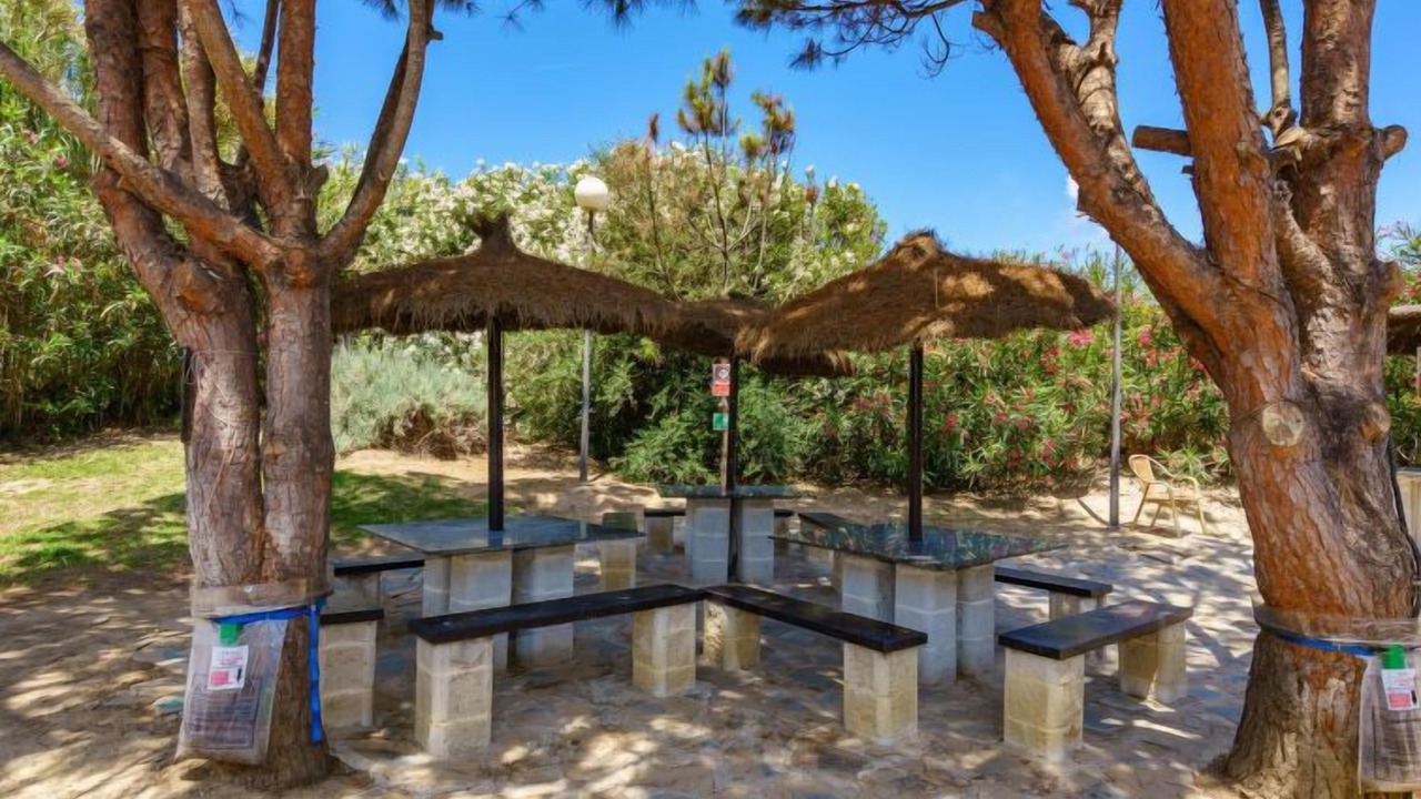 Photo of Outdoor in Marina de Casares