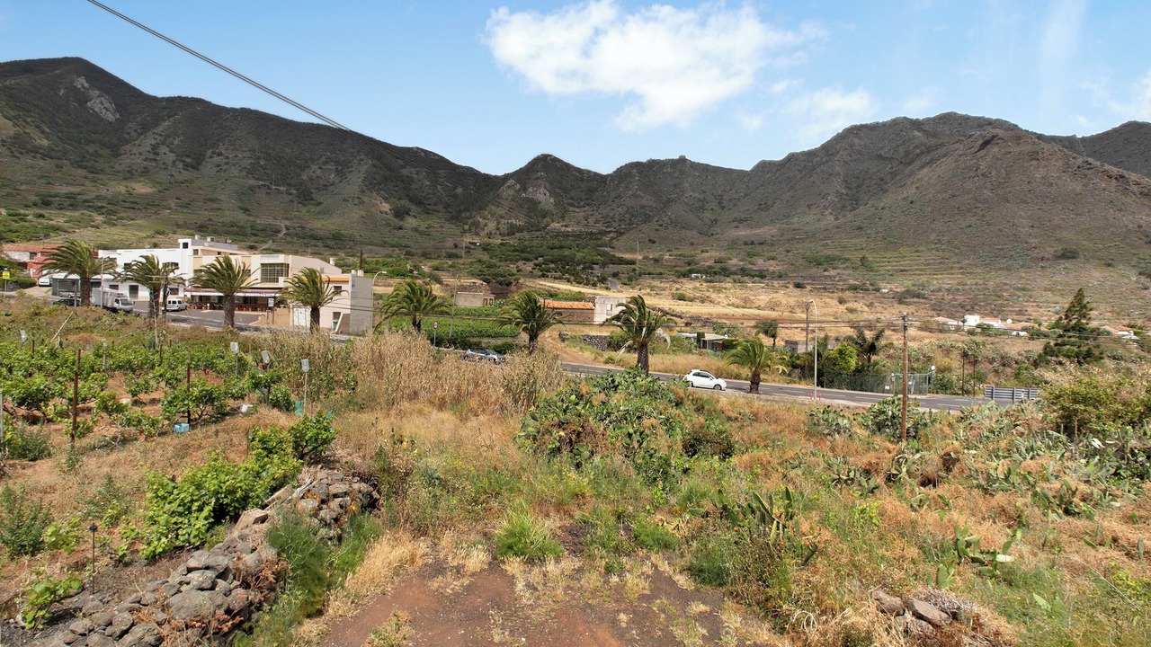 Photo of Others in Buenavista del Norte