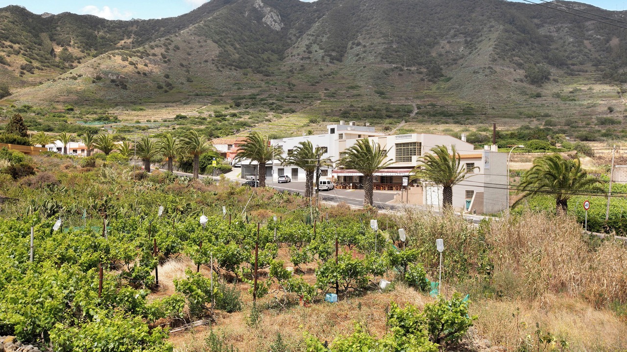 Photo of Others in Buenavista del Norte
