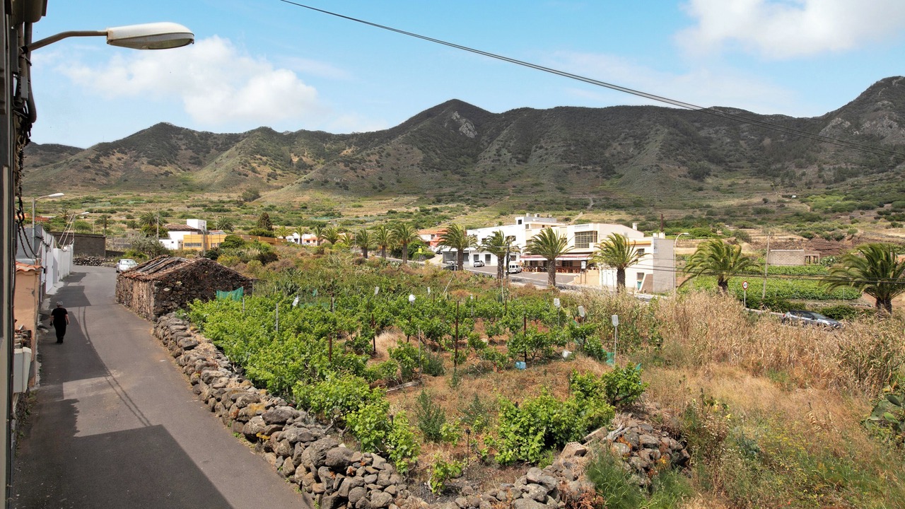 Photo of Others in Buenavista del Norte