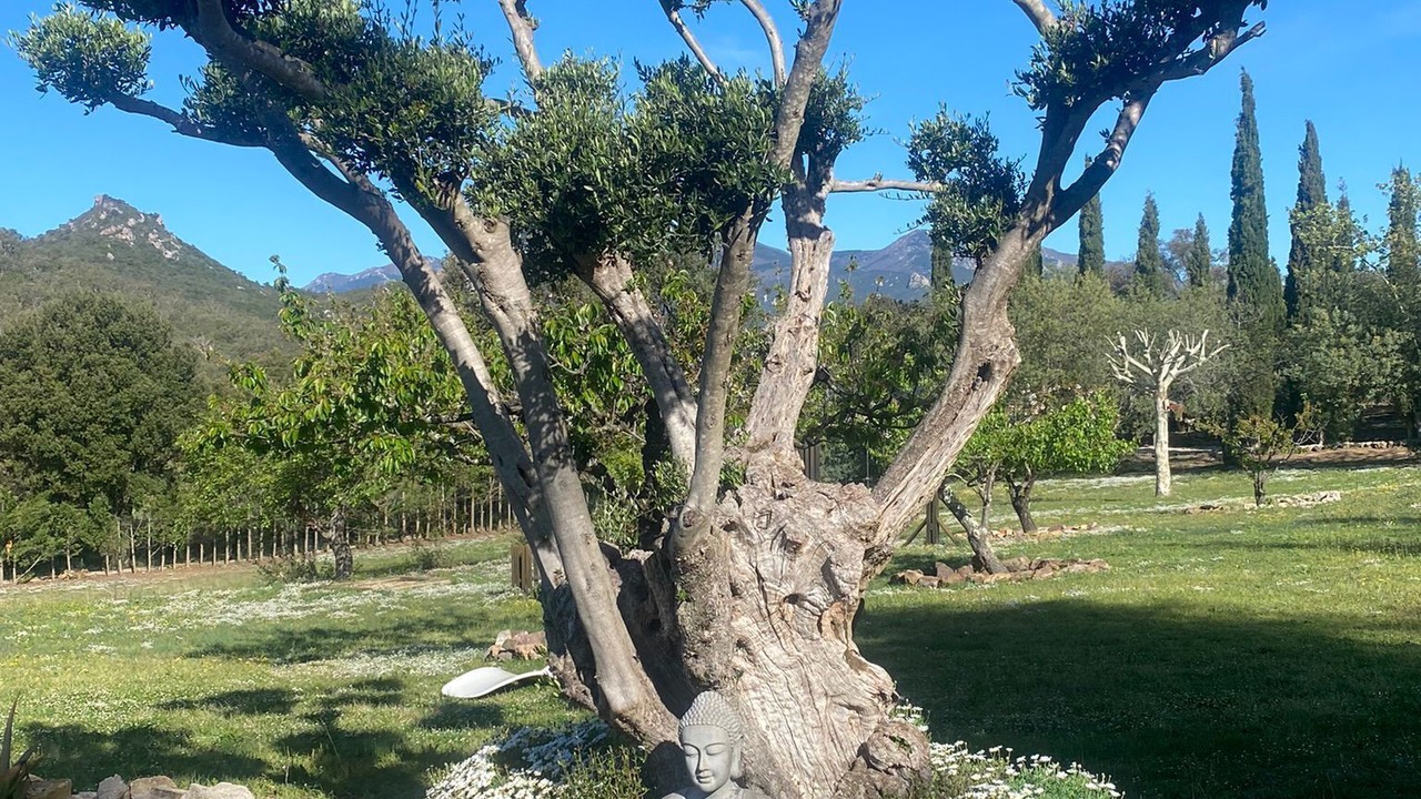 Photo of Outdoor in Darnius