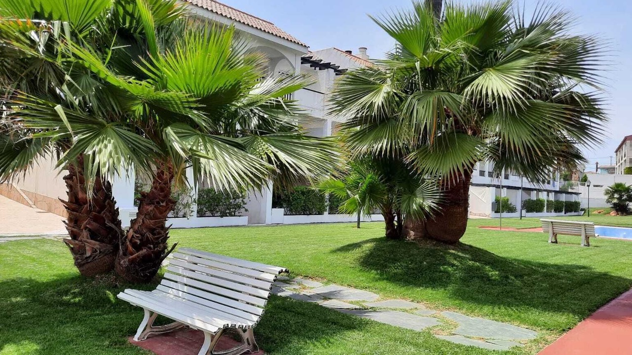 Photo of Outdoor in Vinaros