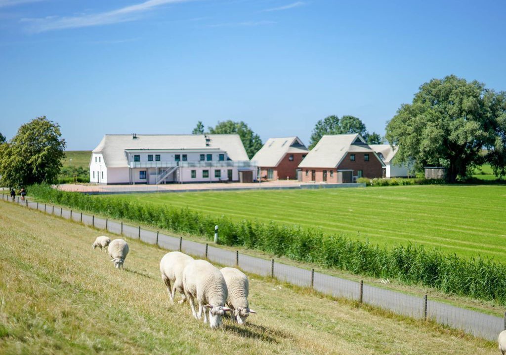 Photo of Outdoor in Tossens
