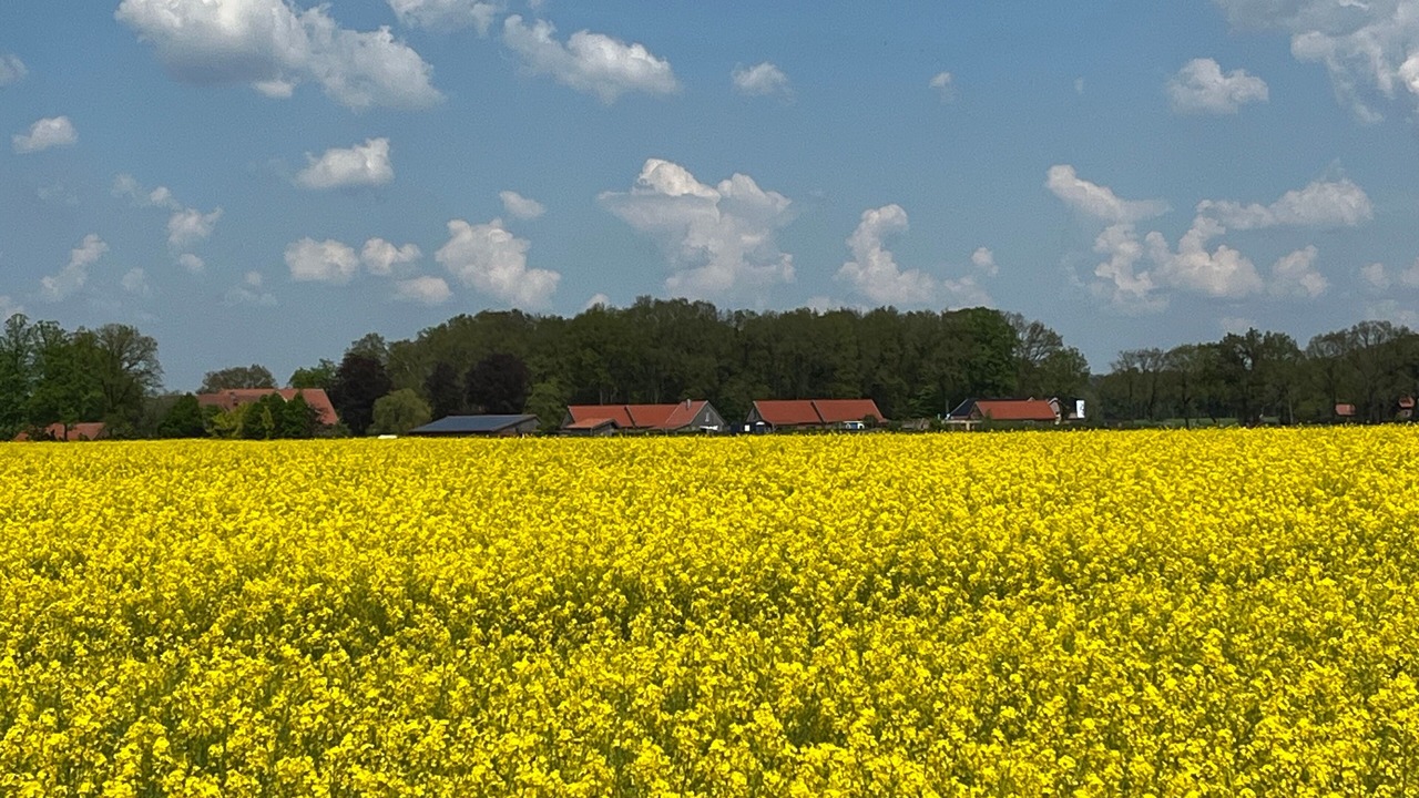 Photo of Others in Lastrup