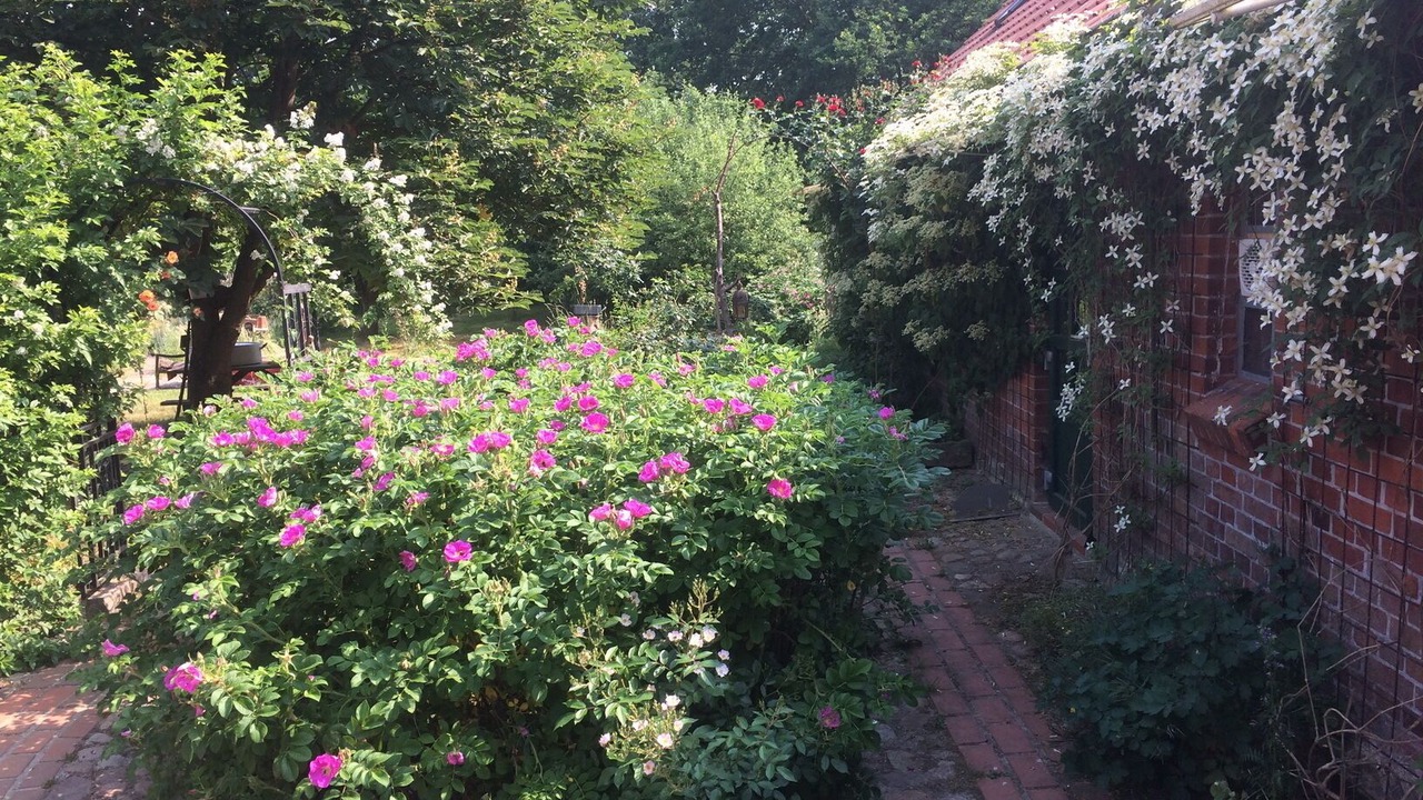 Photo of Outdoor in Amt Neuhaus