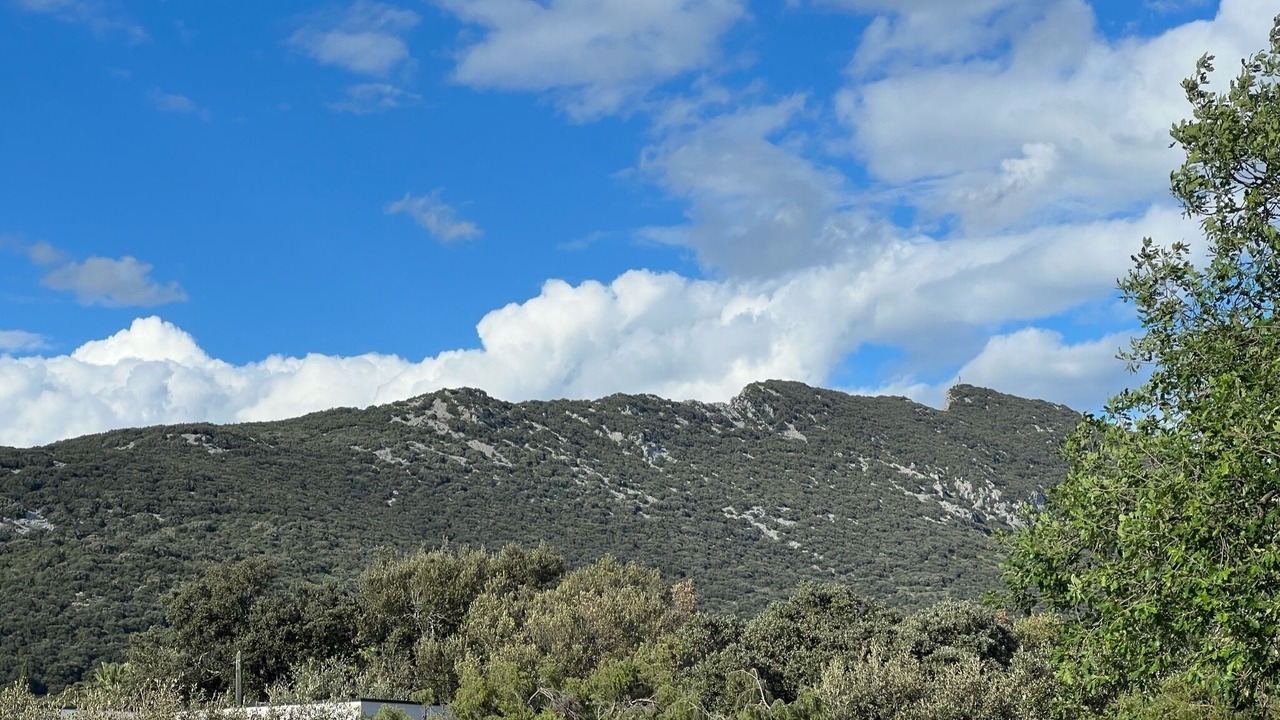 Photo of Others in Cazevieille