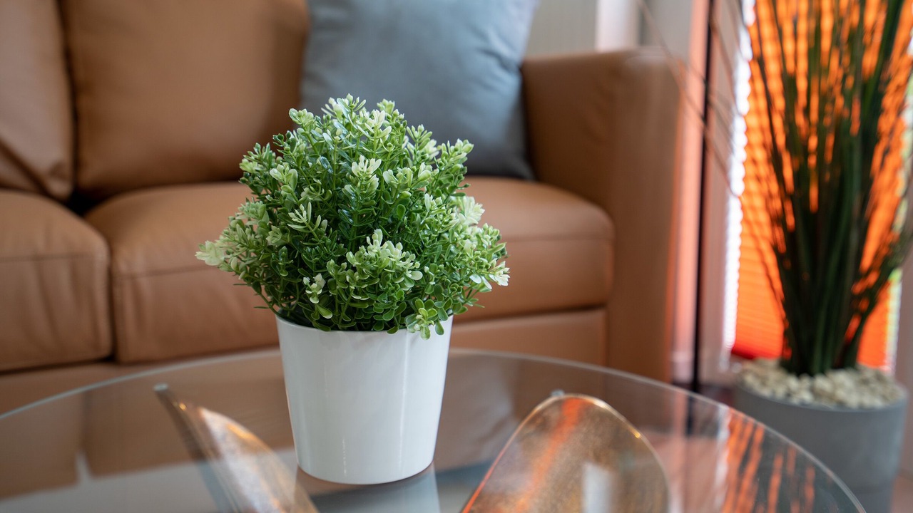 Photo of Livingroom in Gronenberg