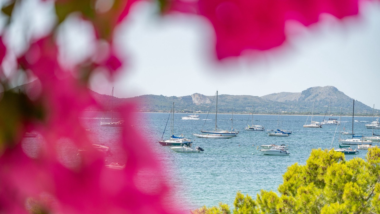 Photo of Others in Puerto de Pollensa