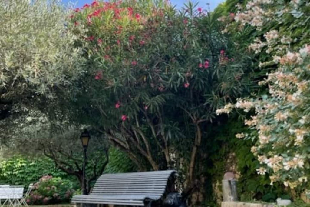 Photo of Outdoor in Bezouce