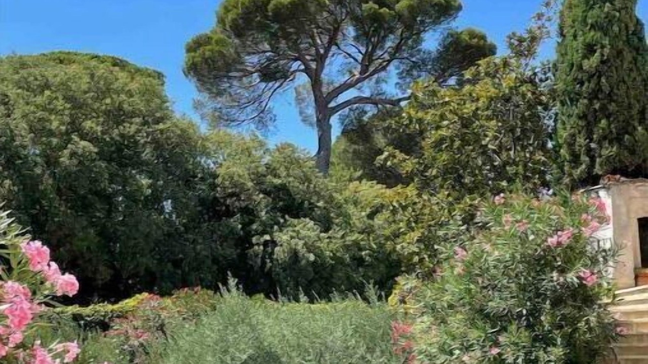 Photo of Outdoor in Bezouce
