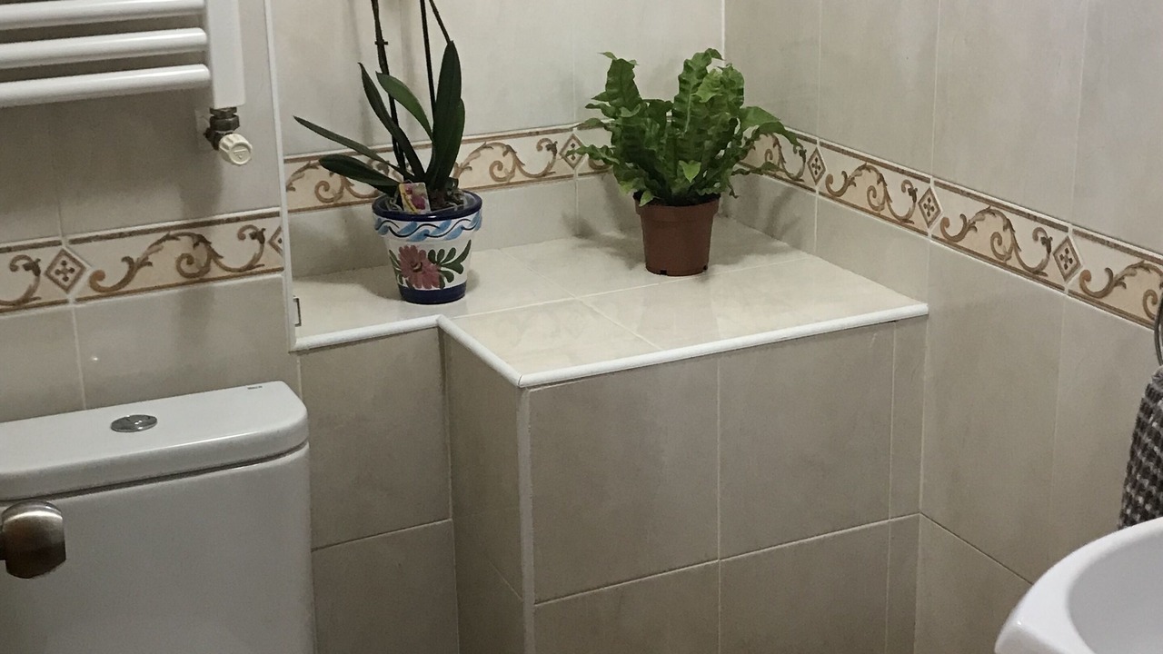 Photo of Bathroom in Gandia