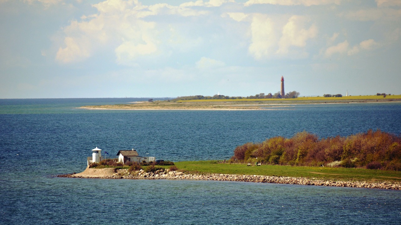 Photo of Others in Strukkamp