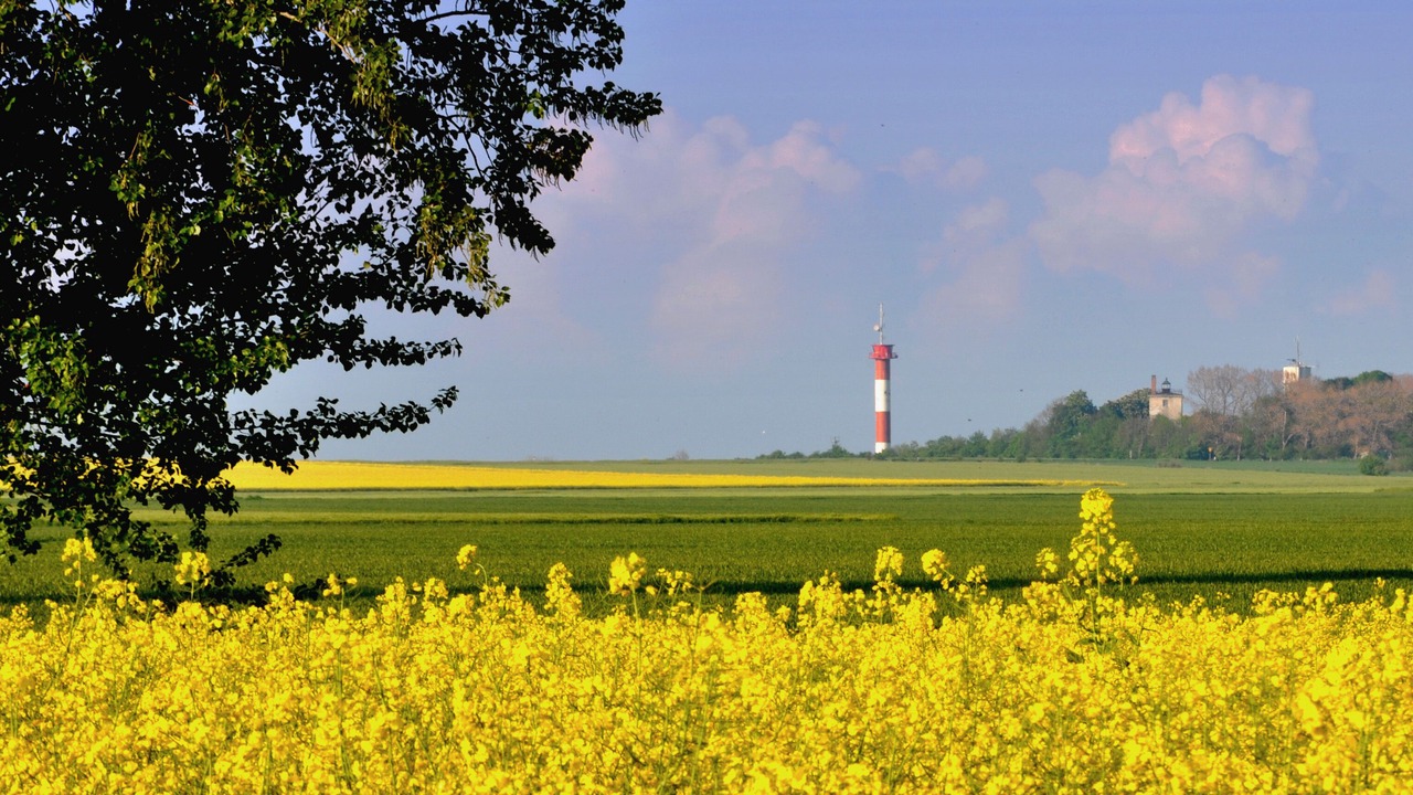 Photo of Others in Marienleuchte