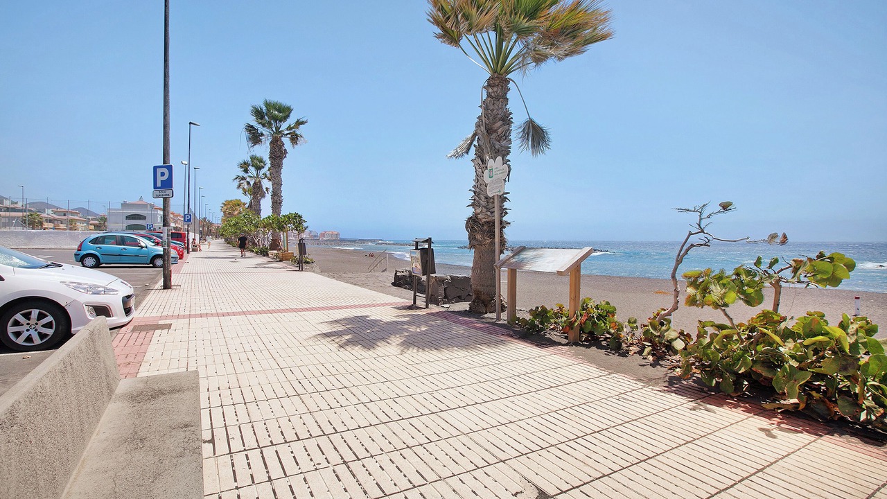 Photo of Others in Guimar