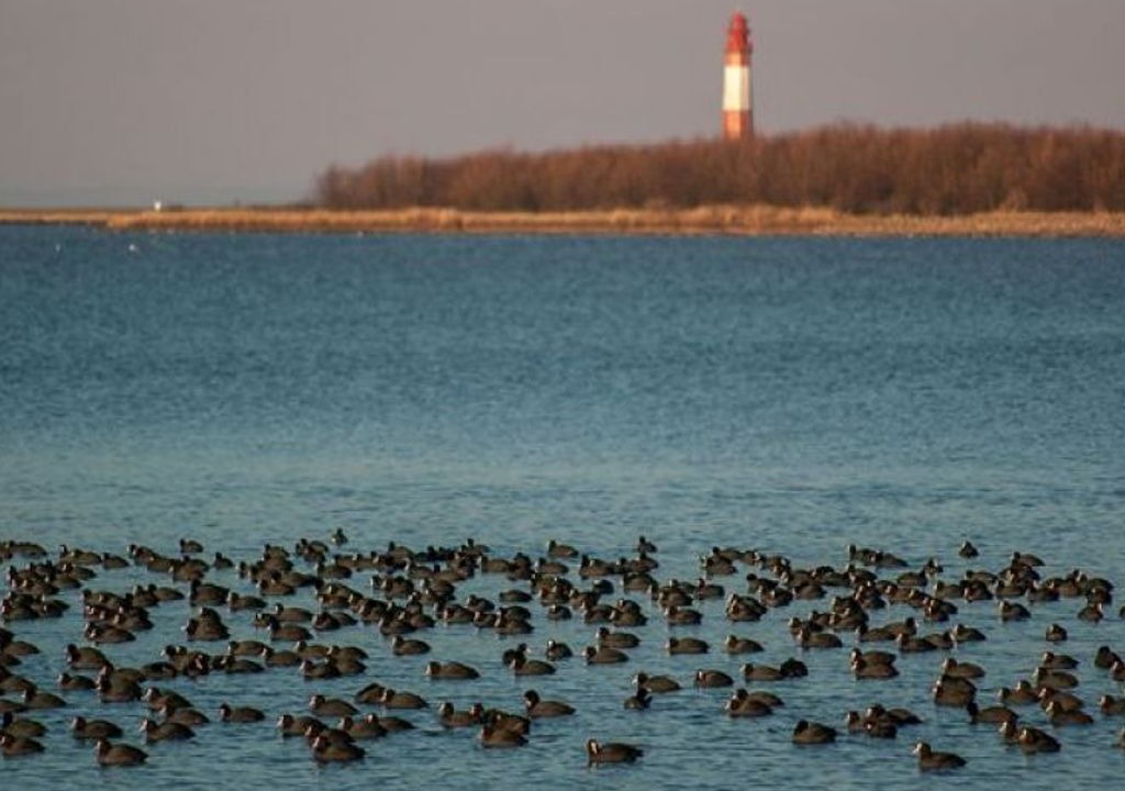 Photo of Others in Orth