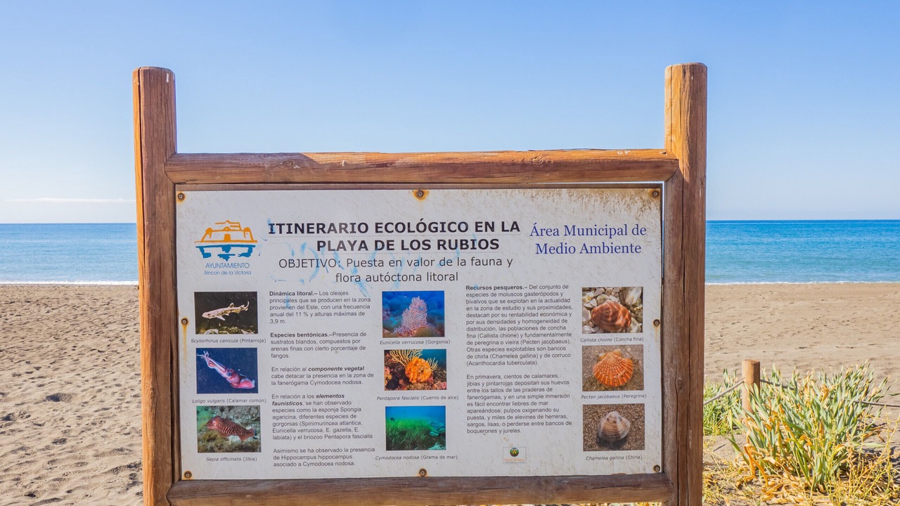 Photo of Others in Torre de Benagalbon
