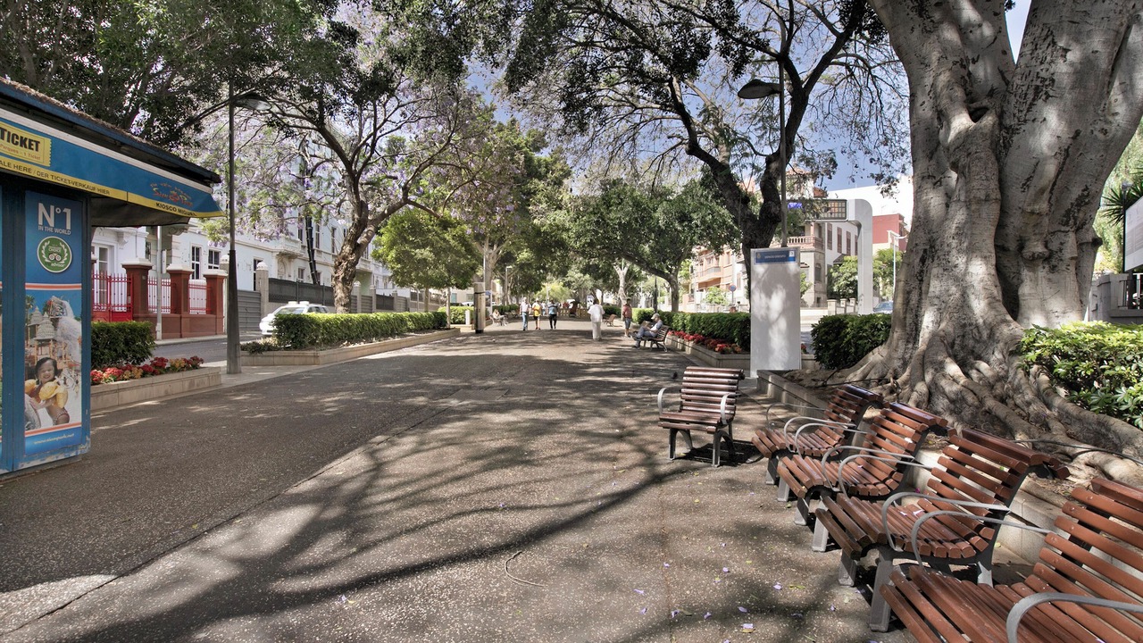 Photo of Others in Santa Cruz de Tenerife