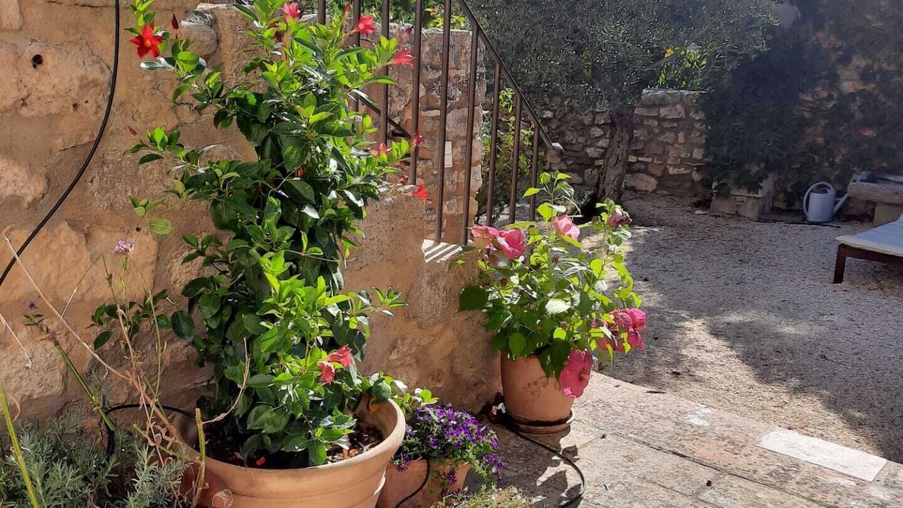 Photo of Outdoor in La Capelle-et-Masmolene