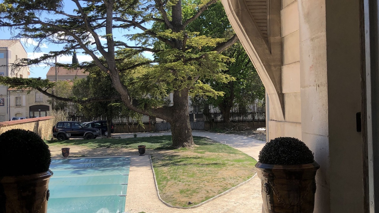 Photo of Outdoor in Orange