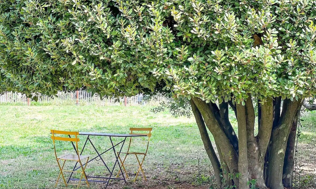 Photo of Outdoor in Collias