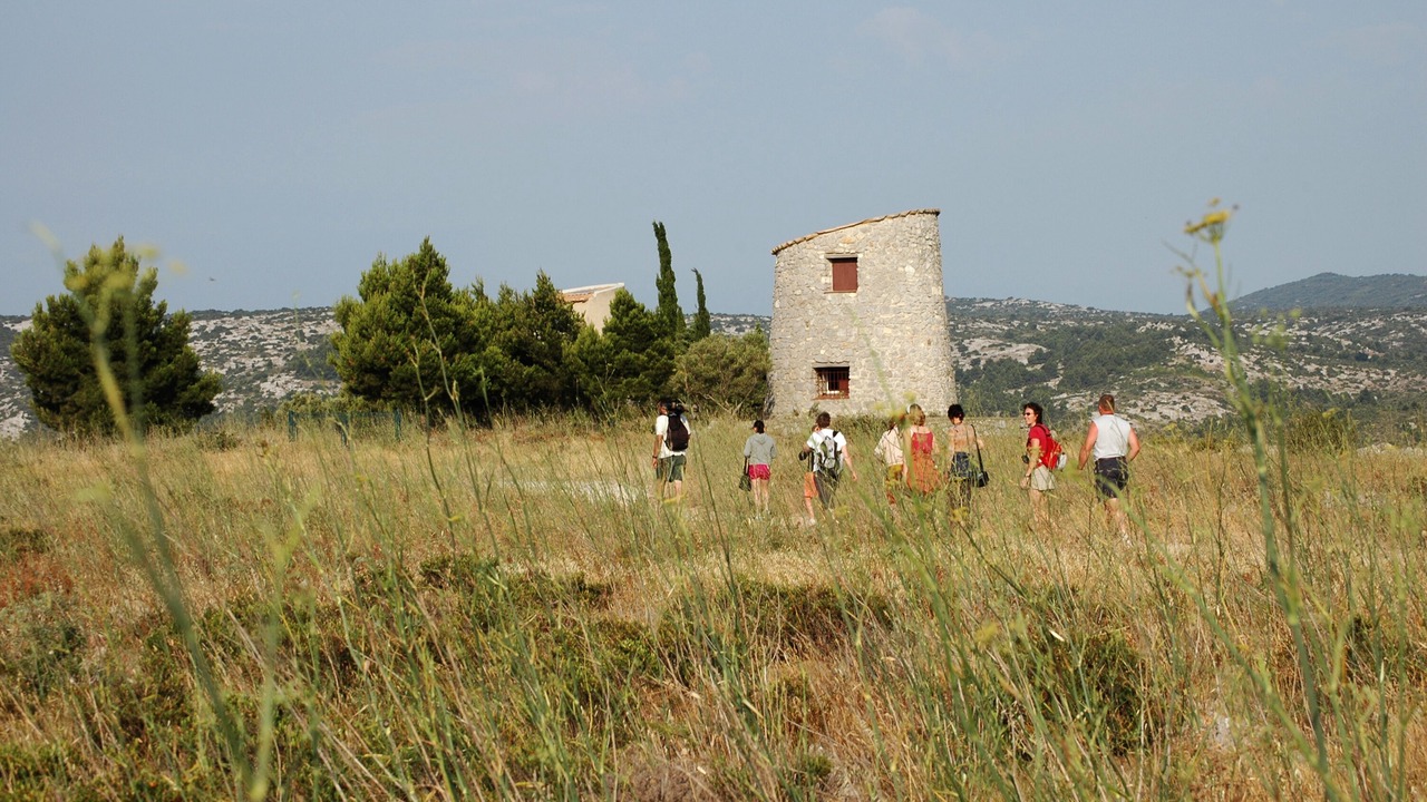 Photo of Others in Roquefort-des-Corbieres