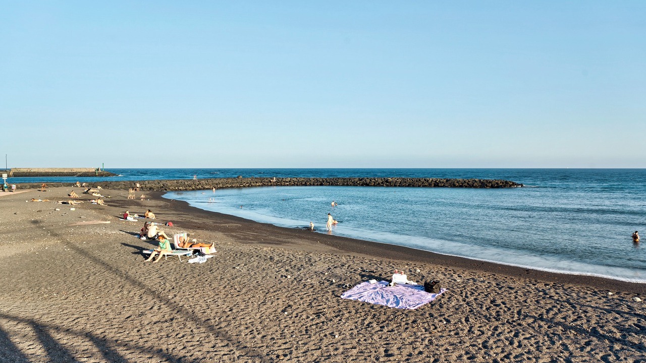 Photo of Others in Puerto de Guimar