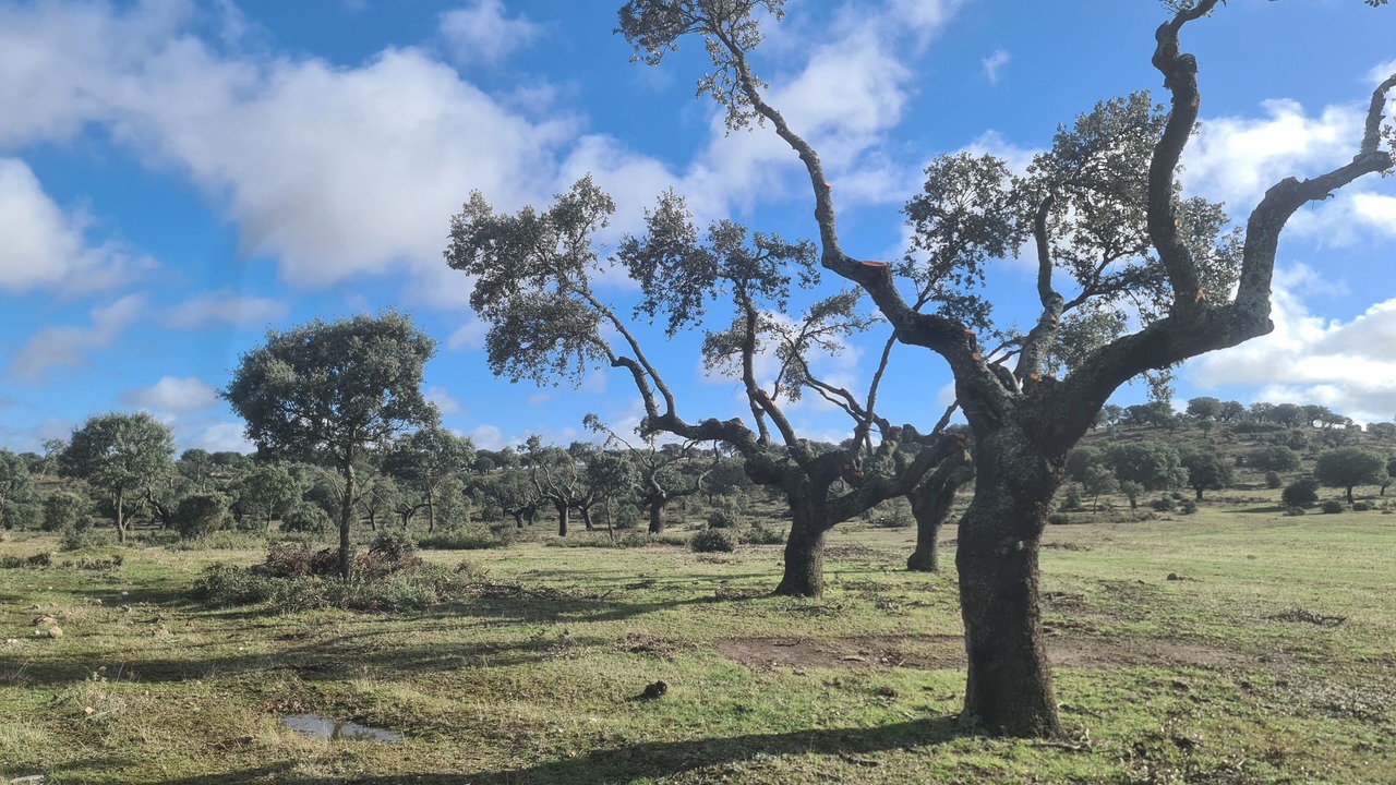 Photo of Outdoor in Terradillos