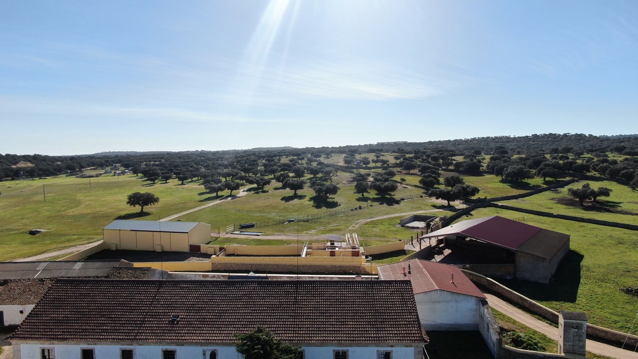 Photo of Outdoor in Terradillos