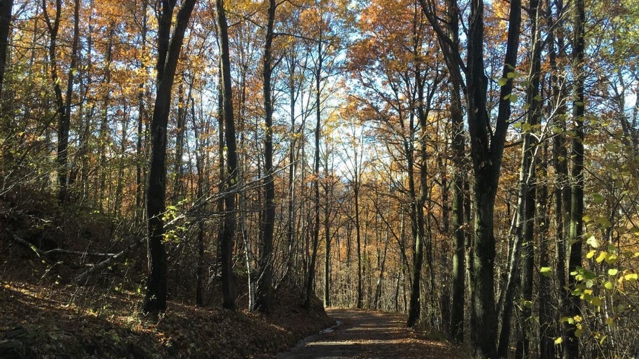 Photo of Outdoor in Pardines