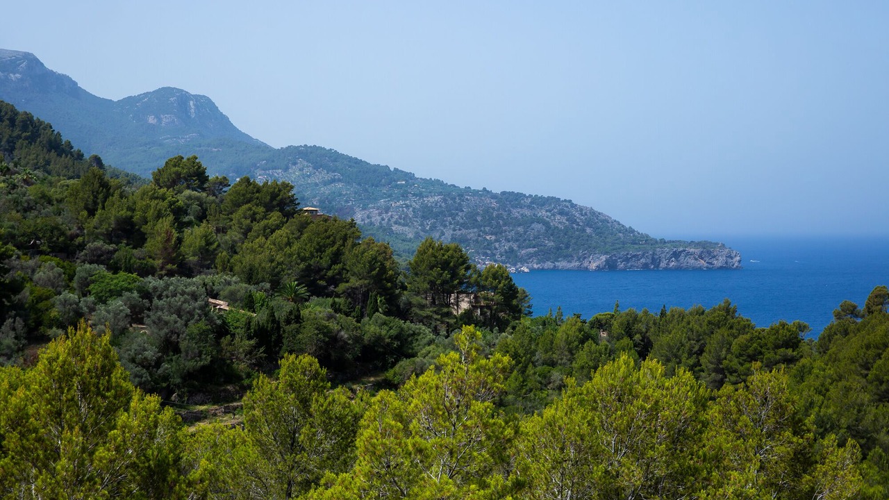 Photo of Others in Soller