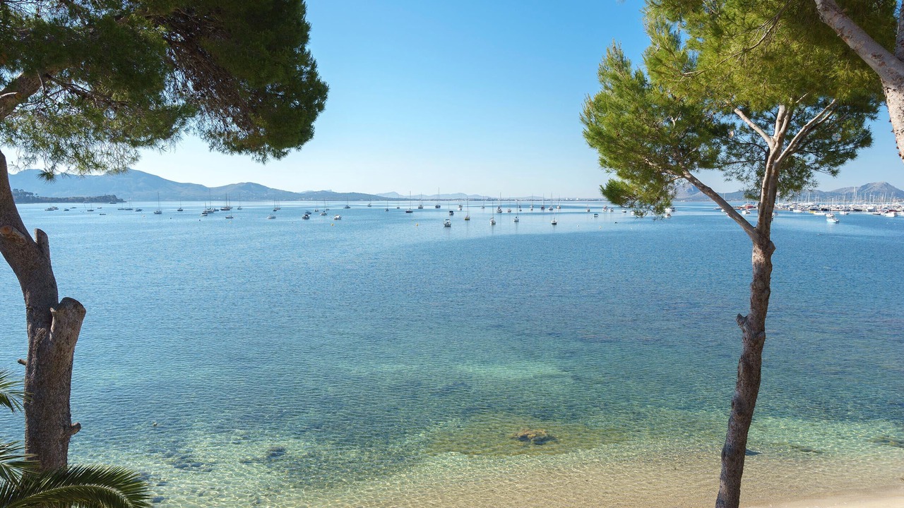 Photo of Others in Puerto de Pollensa