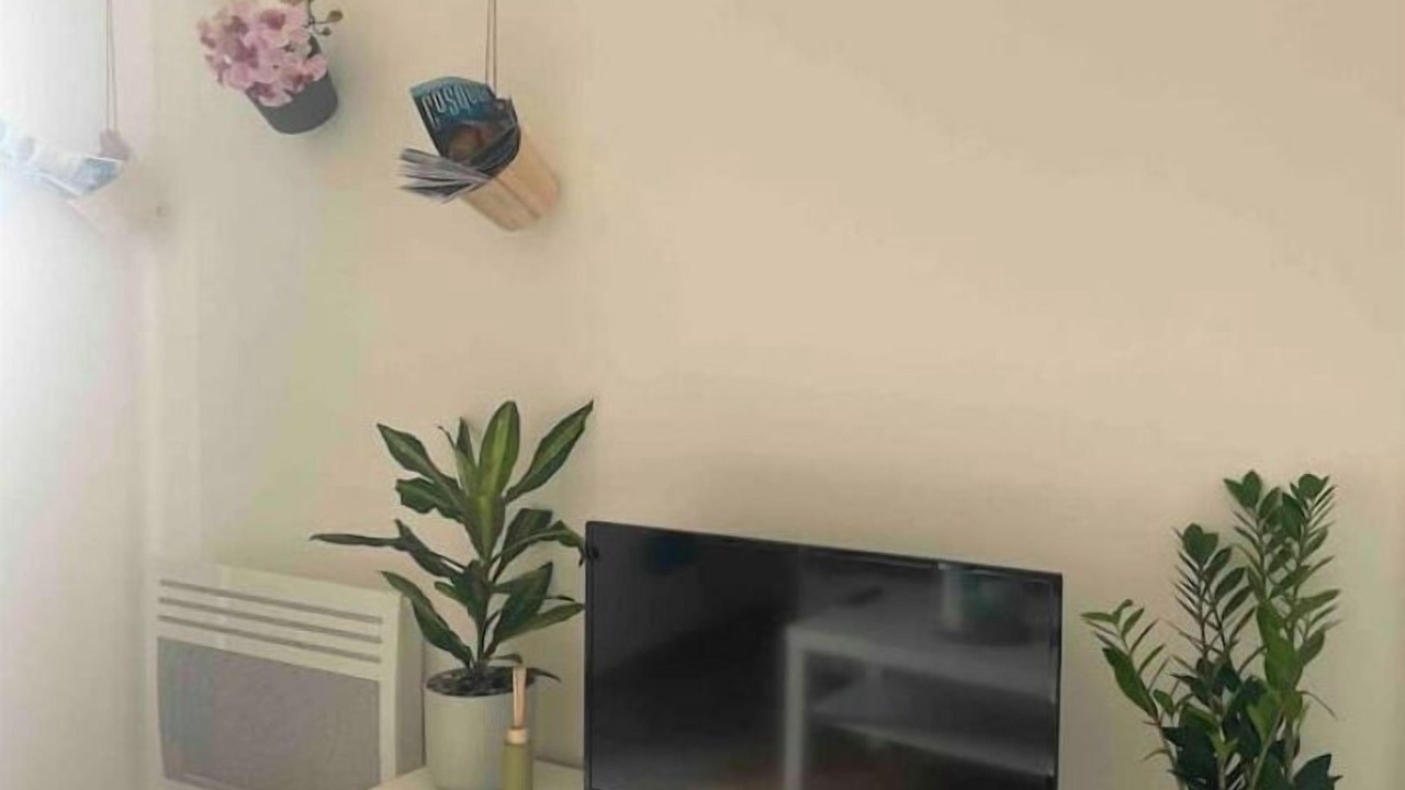 Photo of Livingroom in Belsunce