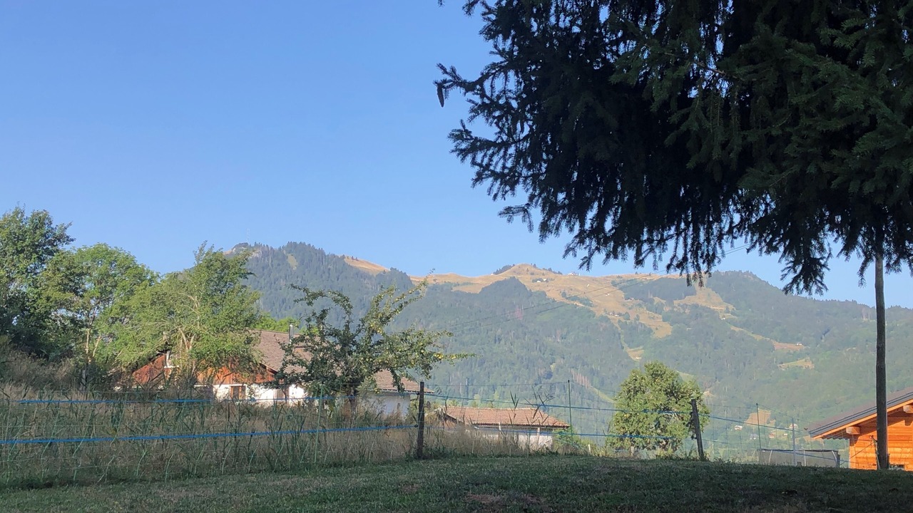 Photo of Outdoor in Onnion