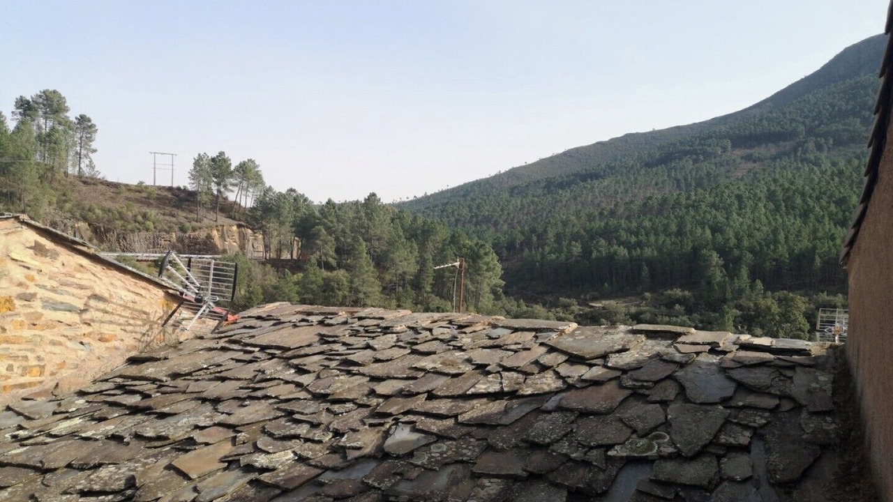 Photo of Outdoor in Pinofranqueado