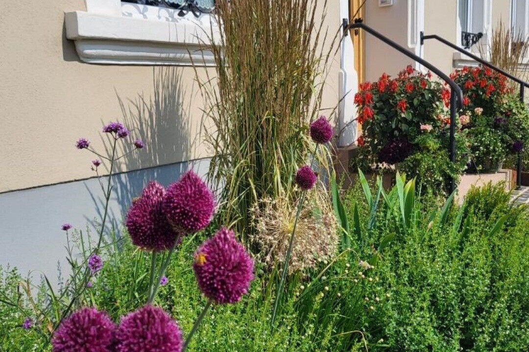 Photo of Outdoor in Losheim am See
