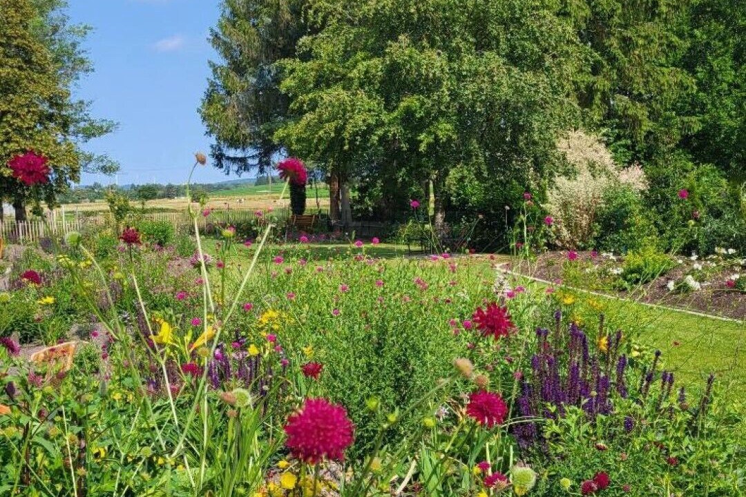 Photo of Outdoor in Losheim am See