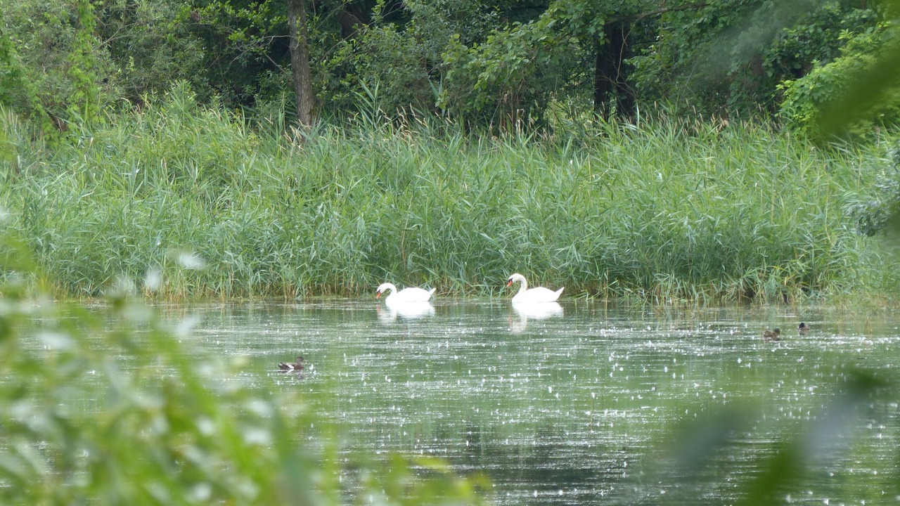 Photo of Others in Wessendorf