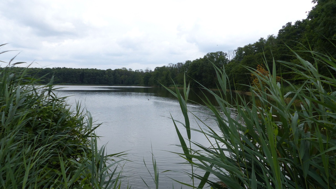 Photo of Others in Wessendorf